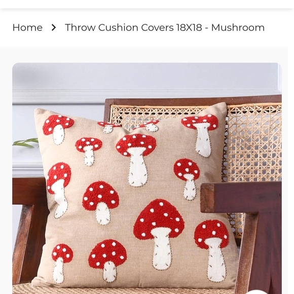 Two  Pillow Covers - Picture 1 of 5